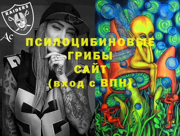 ПСИЛОЦИБИНОВЫЕ ГРИБЫ Белоозёрский