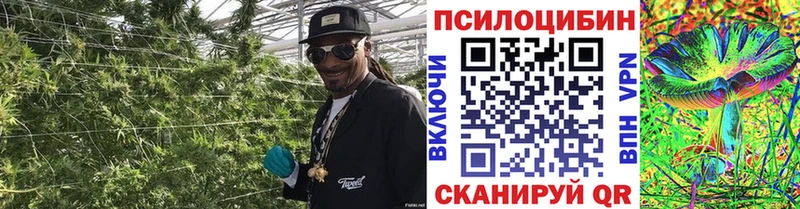 kraken вход  Гаврилов Посад  Псилоцибиновые грибы GOLDEN TEACHER  как найти закладки 