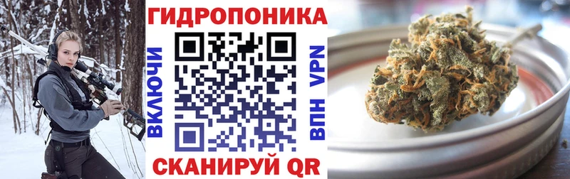 купить наркотики цена  Гаврилов Посад  Бошки Шишки индика 